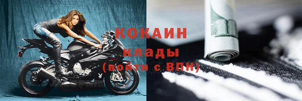 apvp Богородицк