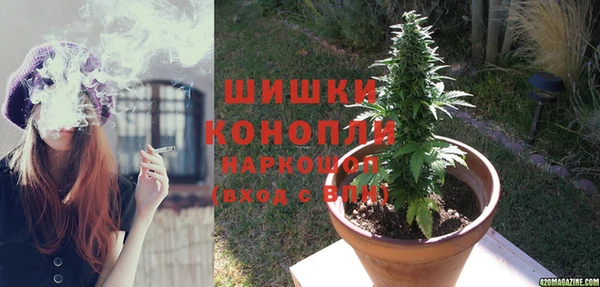 apvp Богородицк