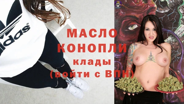 apvp Богородицк